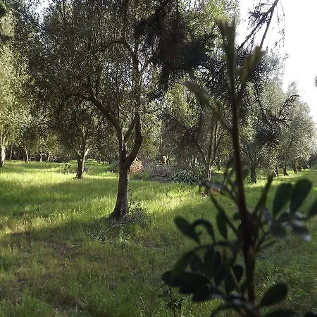 Alloggio per agriturismo Tenuta San Silvio *