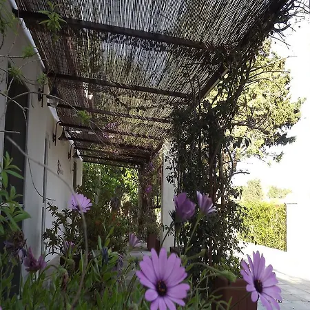 Tenuta San Silvio Alimini