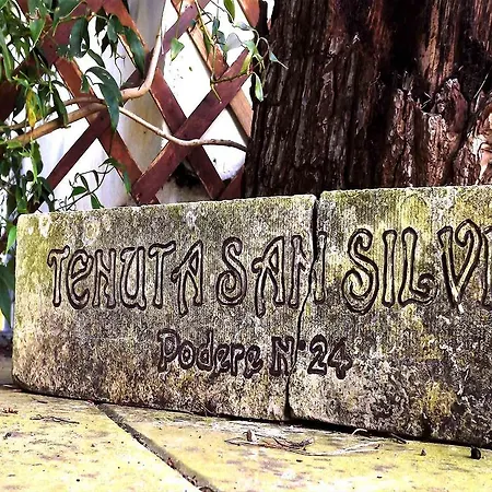 Tenuta San Silvio Alimini